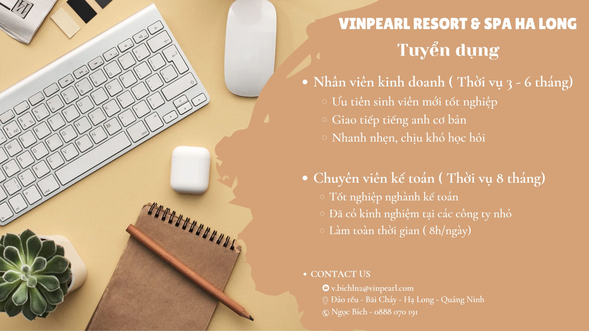 lĩnh vực hoạt động
